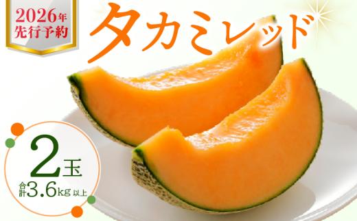 メロン 5L 2玉入 タカミレッド 【 先行予約 】 2026 期間限定 季節限定 くだもの フルーツ ジューシー 大きい 果物 おやつ スイーツ 夏 メロン 赤肉 赤肉メロン めろん 旬 季節 上品 甘い スッキリ デザート 厳選 贈答 ギフト プレゼント 国産 お取り寄せ 産直 産地直送 農家直送 果汁 贅沢 ご褒美 高糖度 たかみ 貴味 送料無料 ふるさと納税 千葉県 銚子市 みきファーム