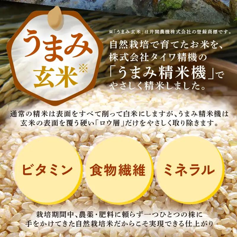 【先行予約】【令和8年産】定期便 ≪12ヶ月連続お届け≫ 自然栽培米コシヒカリ うまみ玄米5kg×12回（計60kg） 化学肥料不使用  ＜温度と湿度を常時管理し新鮮米を出荷！＞／ 高品質 鮮度抜群 