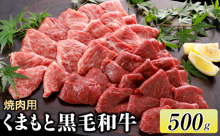 牛肉 くまもと黒毛和牛 焼肉用 500g 長洲501《30日以内に出荷予定(土日祝除く)》---sn_f501kwyk_30d_24_17500_500g---