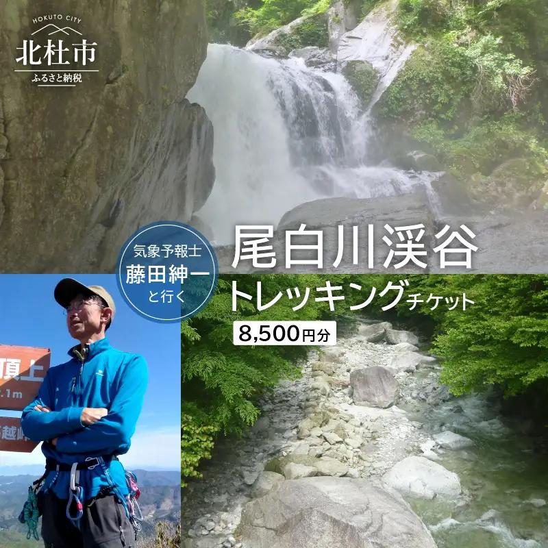 気象予報士・藤田紳一と行く尾白川渓谷トレッキングチケット [h227]