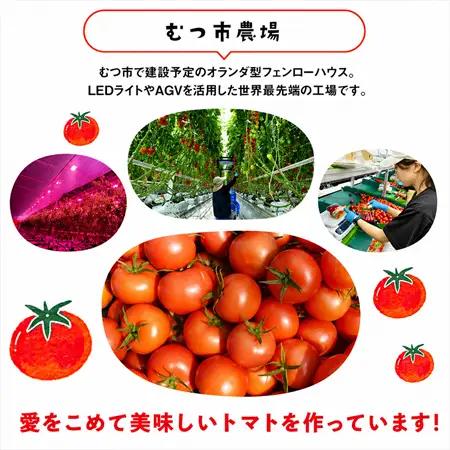 むつ市産　寅福菜園の「ミニトマト」4㎏
