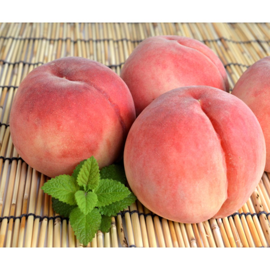＜吉田農園＞あら川の桃　川中島白桃　特秀２kg