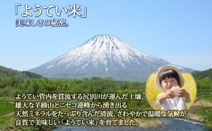 北海道産 ゆめぴりか 精米 5kg お米 米 特A 白米 ブランド米 ご飯 ごはん おにぎり 主食 産直 贈り物 ギフト備蓄 JAようてい 送料無料 北海道 倶知安町