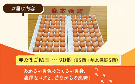 赤たまご M玉 90個（85個＋5個割れ保証）【農事組合法人 鹿本養鶏組合】タマゴ 玉子 熊本県たまご 卵 国産たまご 新鮮たまご あかたまご M玉たまご 熊本たまご 濃厚たまご たまごかけごはん こ