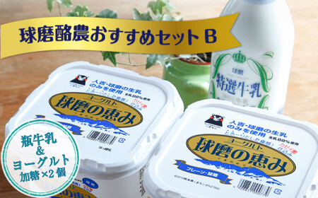 【順次発送】球磨酪農おすすめセットＢ(瓶牛乳&amp;ヨーグルト加糖×2個)