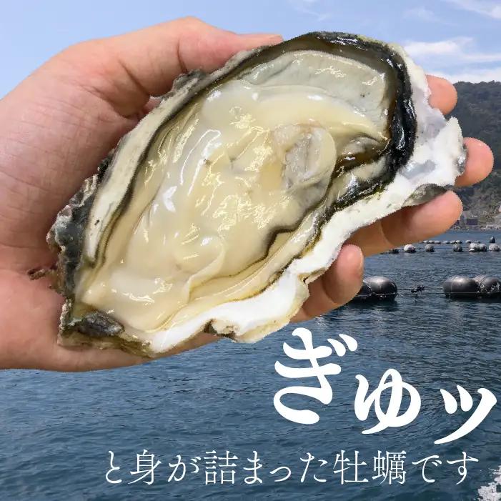 殻付き牡蠣 生食可10kg 南三陸 宮城 女川 岩沼市