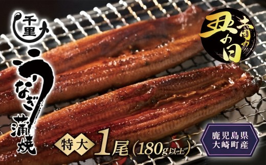 【土用丑の日】鹿児島県産うなぎ　特大蒲焼き1尾　180g以上