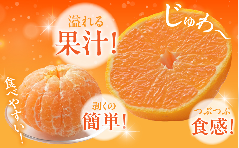 先行予約«数量限定»不知火(つのぽん)約4kg フルーツ 果物 柑橘 みかん 国産_T002-001