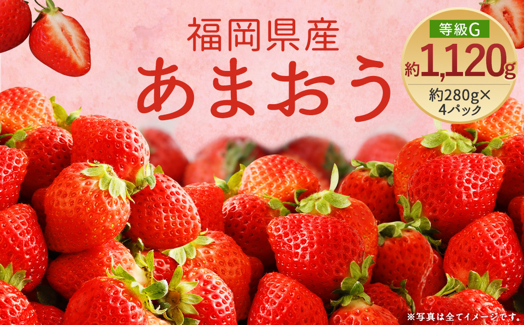 
【先行予約】あまおう 等級G 約1,120g 約280g×4 いちご 苺 果物 フルーツ 【2025年2月上旬～2025年3月下旬発送予定】
