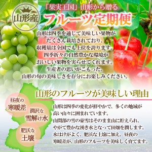 【定期便4回】ふるさと山形のお手軽定期便 【令和7年産先行予約】FU22-727 フルーツ定期便 くだもの 果物 さくらんぼ 佐藤錦 もも 桃 白桃 なし 梨 和梨 あきづき りんご 林檎 ふじ 山形