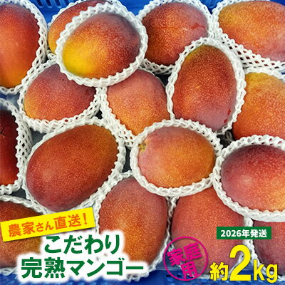 【ふるさと納税】【2026年発送先行予約】こだわりのアップルマンゴー　家庭用2kg　ふるいっと 数量限定 名護市 沖縄 フルーツ くだもの 果物 南国 スイーツ デザート 人気 おすすめ ギフト プレゼント 期間限定 おきなわ アップルマンゴー 家庭用 贈り物 大自然 お取り寄せ