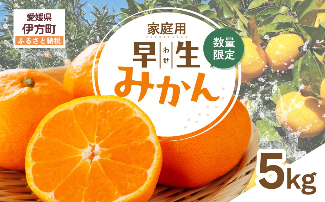【先行受付】【数量限定】【家庭用】早生みかん（生果）5kg（2026年11月上旬頃より順次発送） IKTQ013