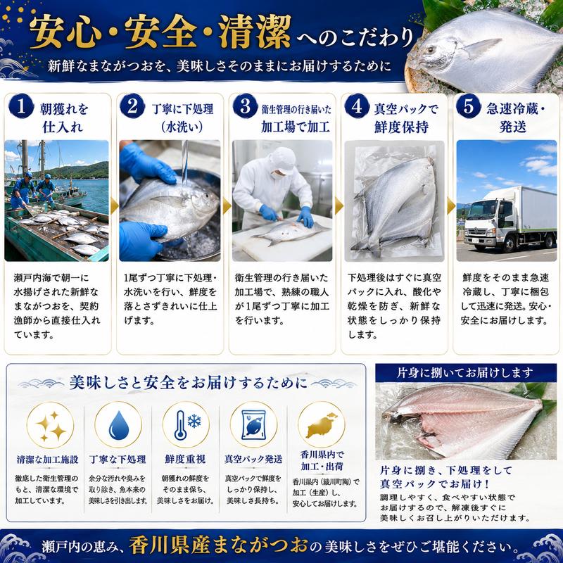 生鮮 香川県産 まながつお 1尾 1.8kg以上 マナガツオ 真魚鰹 真名鰹 魚 魚介 魚介類 冷蔵 香川 香川県