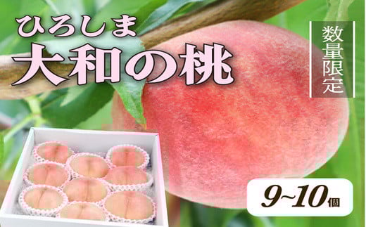 【先行予約】部谷桃園 ひろしま大和の桃 9～10個セット 果物 フルーツ デザート 食後 旬の桃 旬の果物 旬のフルーツ 新鮮 夏 夏の果物 067002