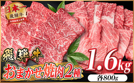 
                  飛騨牛　おまかせ焼肉2種セット約1.6kg(各約800g) 訳あり　BBQ　上カルビ・ロースなど【1738983】
                