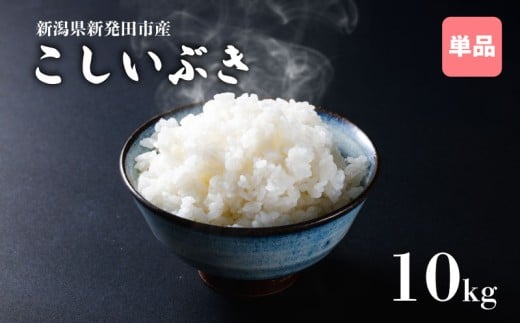 令和7年産 新潟県産こしいぶき 10kg 5kg×2袋 【 新潟県 新潟産 新潟米 新発田産 新発田 お米 米 こしいぶき とんとん市場 せいだ 5kg 10kg 数量限定 玄米 D55_04 】