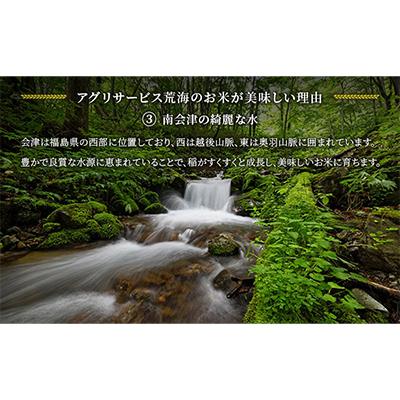 ふるさと納税 南会津町 【令和7年産会津田島の極上祇園米】ひとめぼれ(玄米) 10kg |  | 03