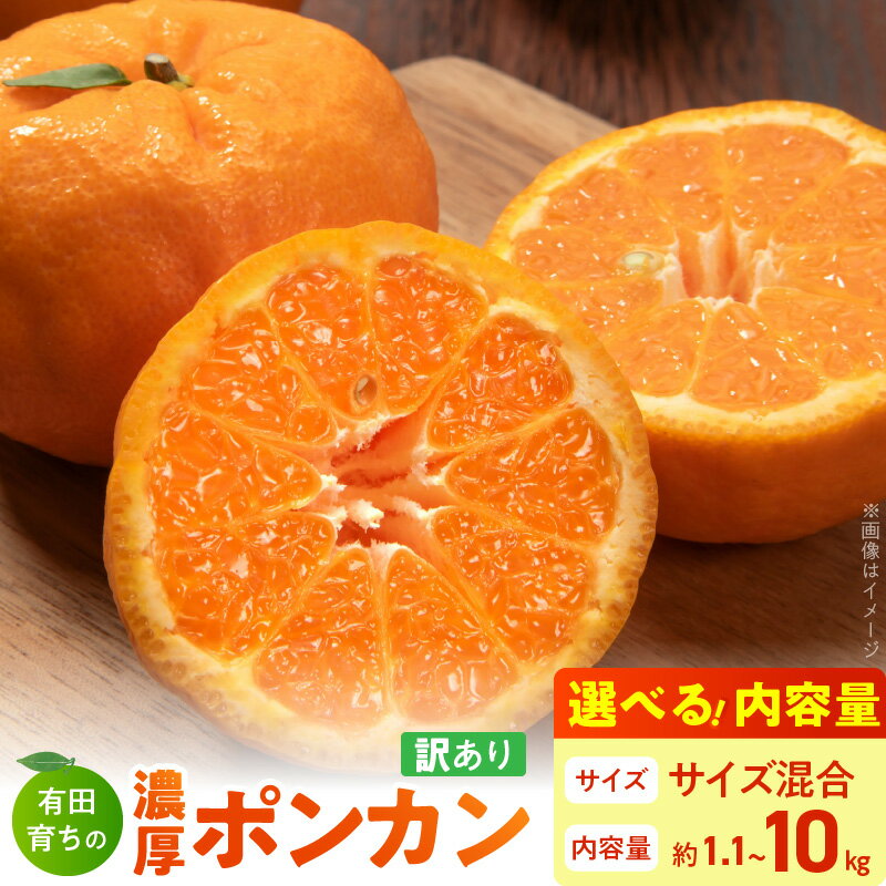 【ふるさと納税】【限定】 【2026年先行予約】【極甘柑橘】 有田育ちの 濃厚 ポンカン 【訳あり 家庭用】4kg (サイズ混合)