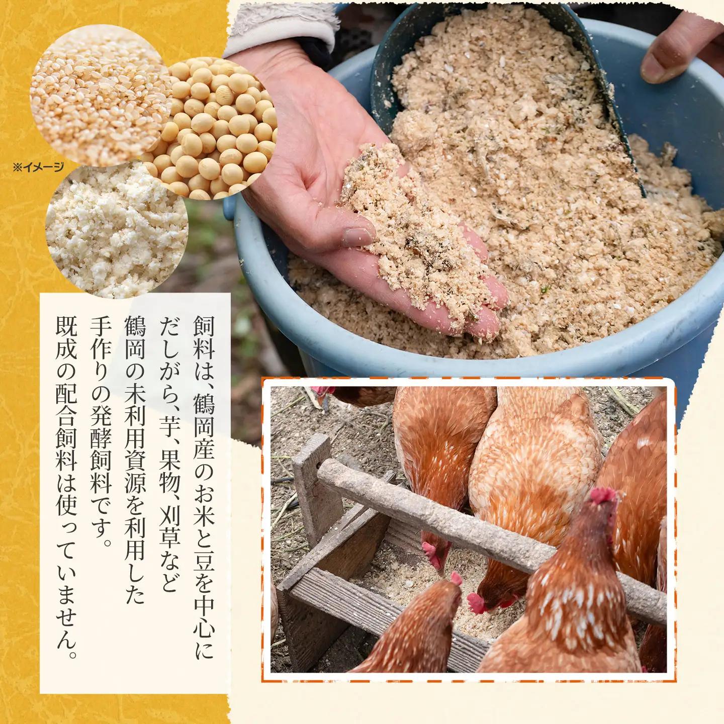 純国産鶏あずさの平飼い卵 40個 (フリーサイズ) 山形県鶴岡市 おーぼ | 卵 たまご タマゴ 玉子 鶏卵 平飼い卵 自然卵 生卵 卵かけご飯 たまごかけご飯 卵かけごはん たまごかけご飯 卵料理 