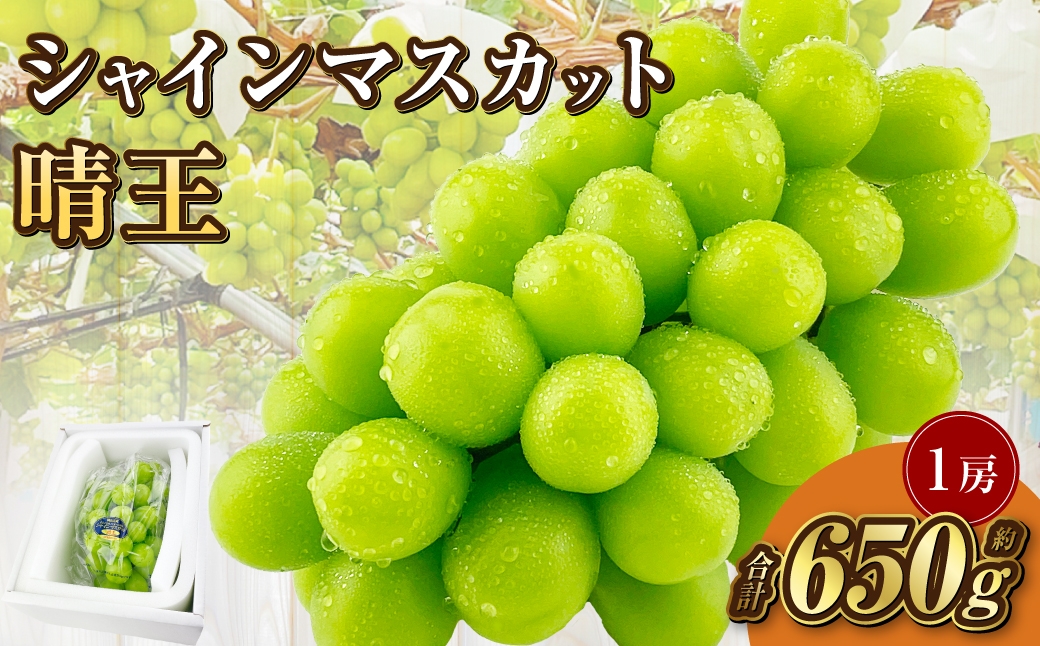 
            岡山県産 シャインマスカット 晴王 1房 約650g【2025年9月上旬-10月下旬 発送予定】｜種無し 皮ごと食べる フレッシュ 先行予約 ハレノフルーツ
          