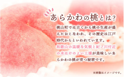 あらかわの桃ジャム3本セット株式会社藤桃庵《90日以内に出荷予定(土日祝除く)》---wsk_ttajam_90d_22_11000_3p---