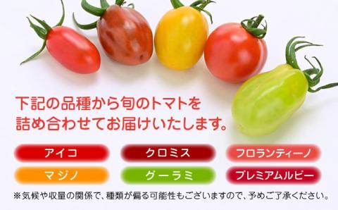 【期間限定】熊本県産 減農薬栽培 トマト ミディトマト 詰め合わせ 30個セット 食べ比べ ギフトセット 産地直送 ミニトマト とまと【矢仁田農園】[YDE001]