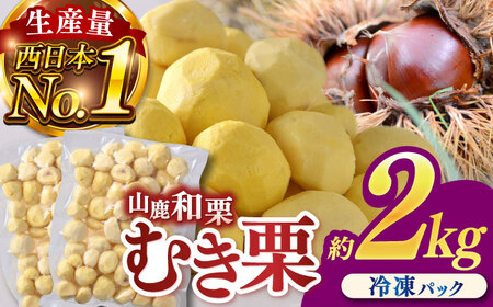 むき栗 約2kg（約1kg×2袋） 【株式会社あんず】[ZBT015]