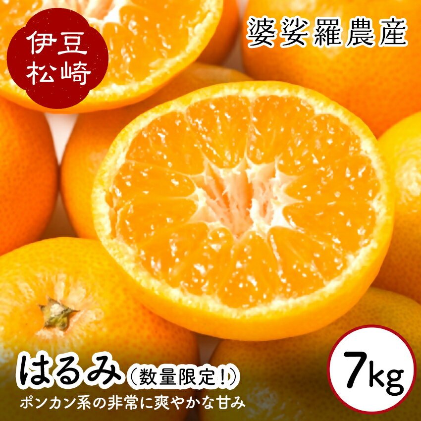 【ふるさと納税】婆娑羅農産 はるみ 7kg