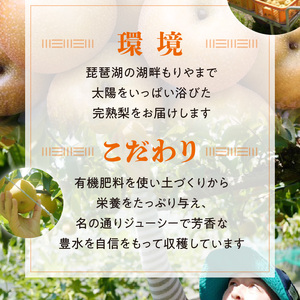 完熟採り　もりやま梨（豊水）５キロ【先行予約】