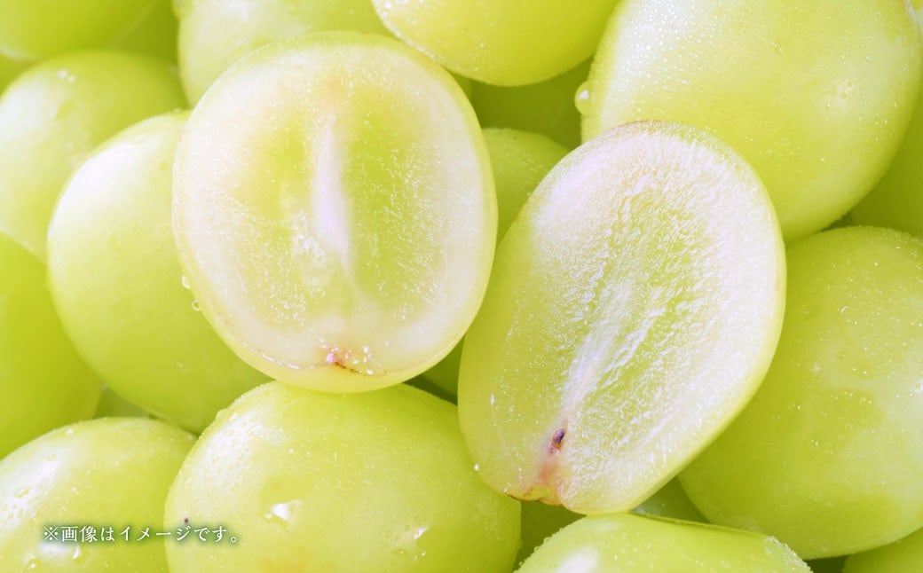 シャインマスカット（秀） 2～3房