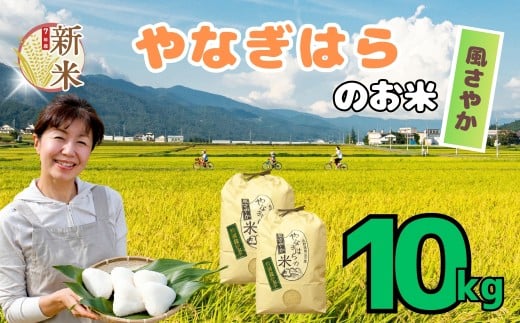 【先行予約】＜令和7年産新米＞  特別栽培米 「やなぎはらの米 風さやか」10㎏ 《2025年月10月中旬〜発送》 (7-71)  お米 コメ 白米 ご飯 長野県 信州 飯山市 新米 令和7年 かぜさやか 産地直送 農家直送