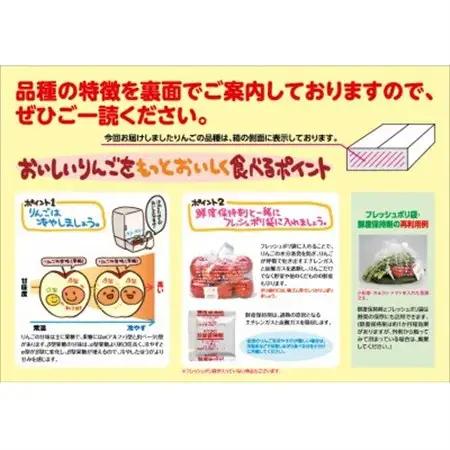 【令和8年産・先行予約】糖度13度選果 サンふじ 約4.3kg　鮮度保持剤・保存用ポリ袋付_果物・フルーツ りんご  リンゴ 林檎_【配送不可地域：離島・沖縄県】【1508211】