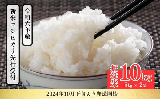 
            No.2499大文字屋米穀店【令和6年産 新米先行受付】コシヒカリ精米（無洗米）1等米 10kg
          