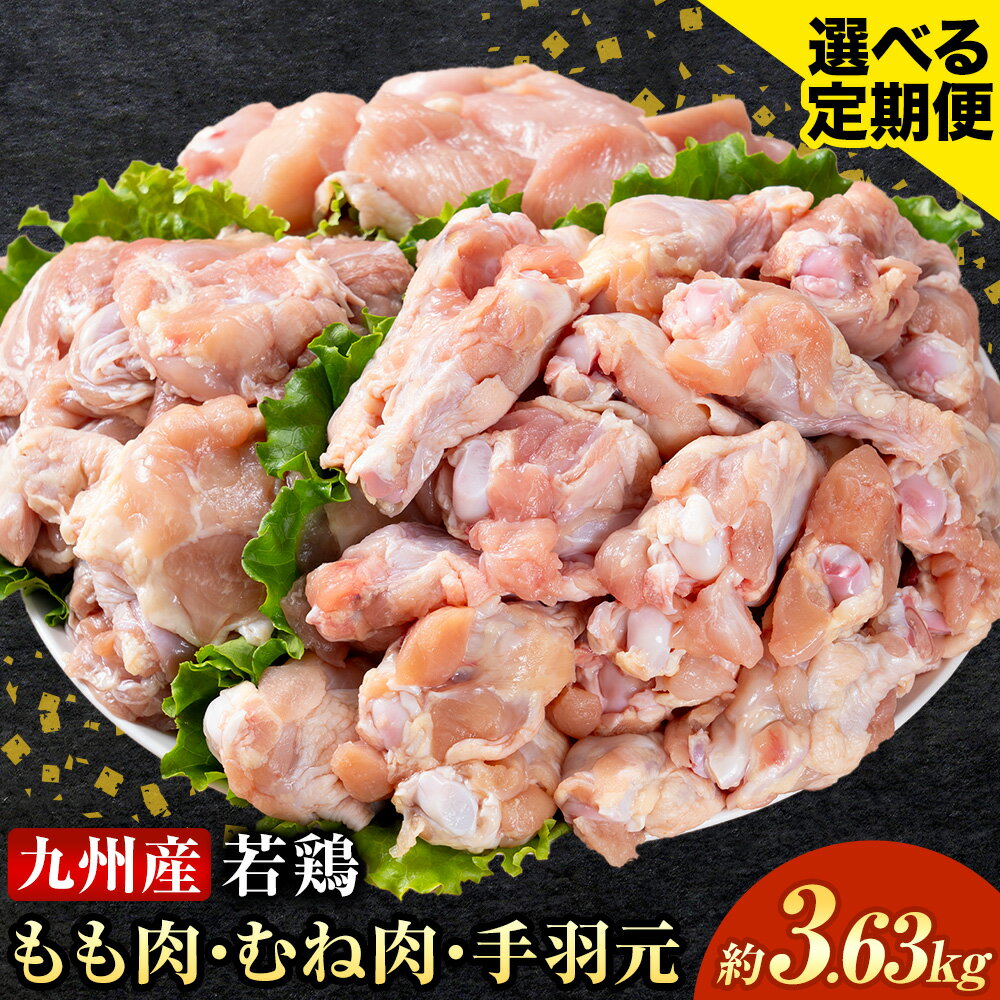 【ふるさと納税】選べる 定期便 九州産 若鶏もも肉(310g×3袋) ムネ肉(600g×2袋) 手羽元 セット(500g×3袋) 計3.63kg 鶏肉 肉 鶏 手羽 手羽元 唐揚げ 詰め合わせ セット 冷凍 九州 国産 熊本県 菊池市 送料無料《お申し込みの翌月から出荷》