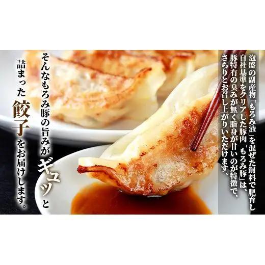 【石垣島ブランド豚】もろみ豚 特製 餃子 4パック【合計48個】【もろみで育てる自慢の豚肉】ぎょうざ 小分け AH-5