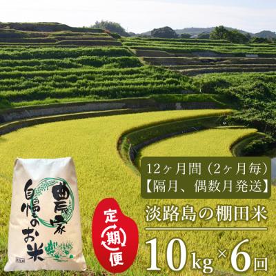ふるさと納税 淡路市 【定期便】淡路島の棚田米 10kg×6回(隔月、偶数月発送)　ae01092