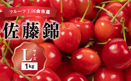 さくらんぼの王様 佐藤錦 500g×2パック 合計1kg(L) 【2025年発送先行予約】 余市 北海道 フルーツ王国 さくらんぼ サクランボ 桜桃 佐藤錦 余市産さくらんぼ  小分けさくらんぼ  人気さくらんぼ ニトリ _Y074-0110