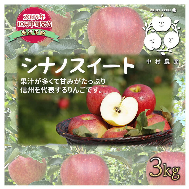 【ふるさと納税】2026年産先行予約 りんご 3kg 樹上熟成 シナノスイート 林檎 リンゴ 果物 くだもの フルーツ 旬の果物 旬のフルーツ 季節の果物 季節のフルーツ 美味しい果物 長野県産 長野県産りんご 信州 長野 長野県 長野市　お届け：2026年10月中旬～11月中旬