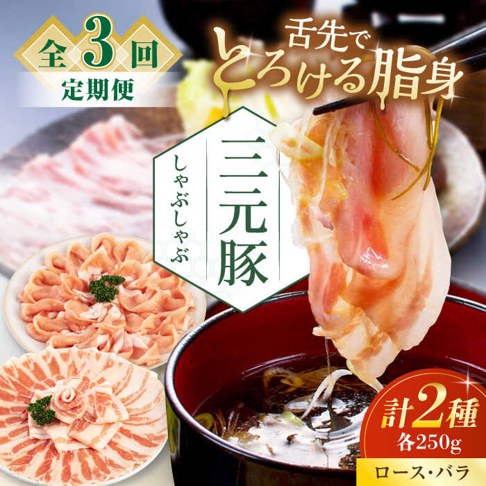 【ふるさと納税】 定期 三元豚 しゃぶしゃぶセット 500g ロース・バラ ▼ 全3回 定期便 だし・昆布ナシ 《喜茂別町》【平田牧場】 肉 豚肉 ロース バラ ロース肉 バラ肉 しゃぶしゃぶ 鍋 お鍋 冷凍配送 北海道 平田牧場 おすすめ [AJAP079] 27000 27000円