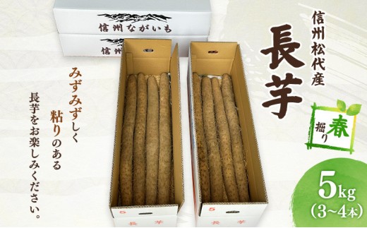 
                  長芋（春堀り）5kg | 長いも 野菜 根菜 とろろ シャキシャキ 食感 粘り 松代産  特産品 人気 おすすめ 送料無料 長野県 長野市 信州 信濃 ふるさと納税
                