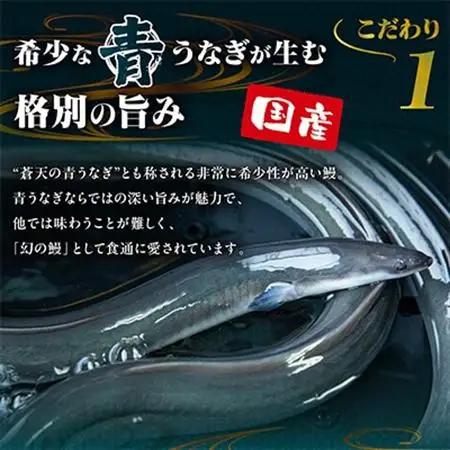 山梨県産富士山脈の地下水うなぎの蒲焼【約90g×5袋】【配送不可地域：離島】【1642650】