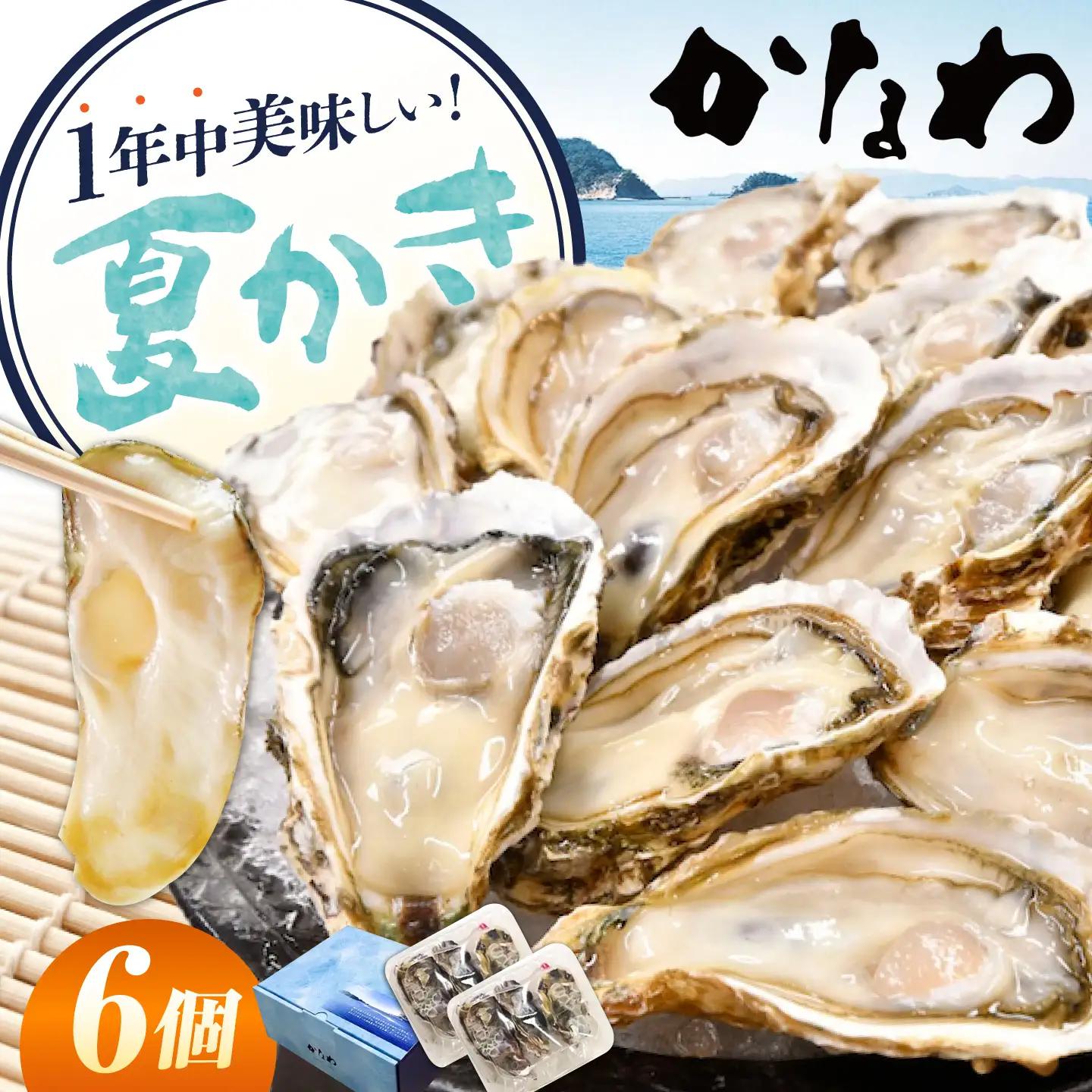 生牡蠣夏かき6個 牡蠣[XBP011]