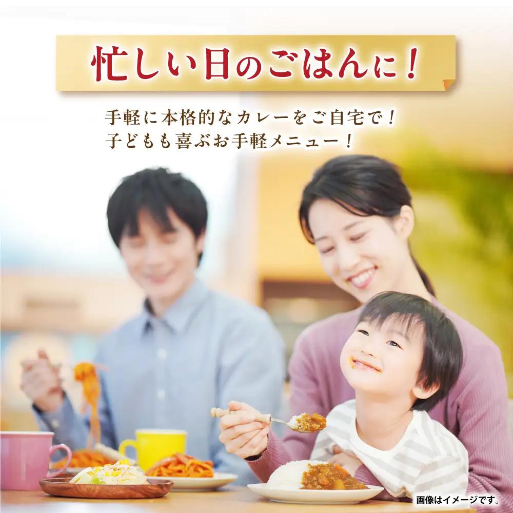 カレー中辛 40食  カレー AHAL003