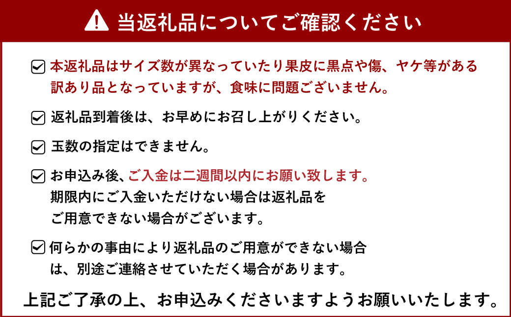 不知火 訳あり品 9kg 松川果樹園