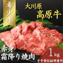 【ふるさと納税】大川原高原牛　赤身・霜降り焼肉　1kg［和牛 希少 佐那河内 さなごうち 大川原高原 牛肉 焼肉 赤身 贅沢 あっさり バーベキュー BBQ 夏休み キャンプ 弁当 レシピ 冷凍 ギフト 贈答］