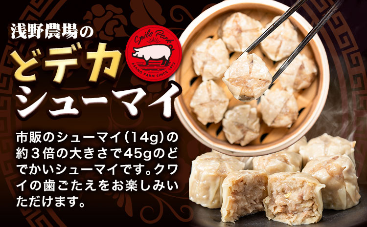 浅野農場どでかシューマイセット 計54個 (45g×18個)×3回  3ヶ月定期便 《お申し込み月の翌月から出荷開始》 豚肉 国産 ジャンボ シュウマイ 大きい BIG 大粒 肉焼売 惣菜 中華 点心