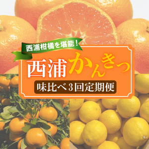 【 柑橘 定期便 】 訳あり 3回 定期便 由良 みかん 2.5kg 寿太郎 みかん 2.5kg レモネード 2kg 