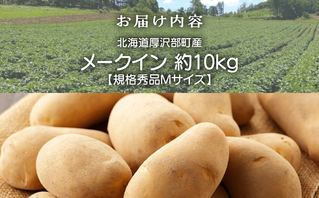 【2026年9月下旬より発送】北海道厚沢部町産 メークイン 約10kg【規格秀品Mサイズ】 ASO012