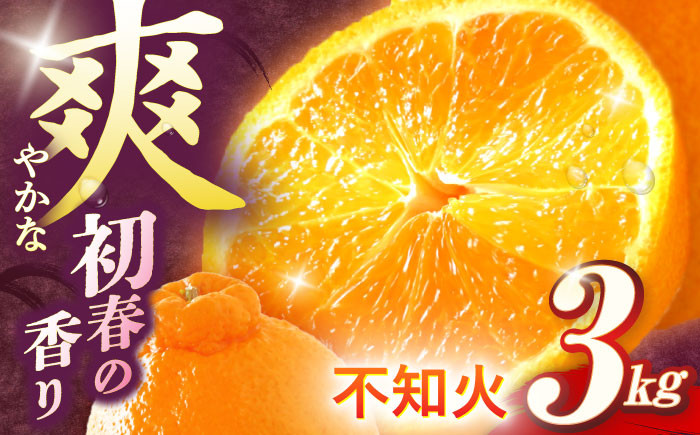 
                  【数量限定】不知火 袋掛け 約3kg【おだ農園】[OAG004] / 柑橘 ミカン 柑橘 果物  フルーツ みかん 柑橘 みかん しらぬい 不知火みかん シラヌイ 柑橘 蜜柑 柑橘類
                