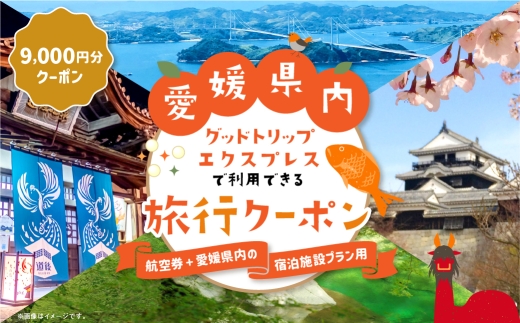 愛媛県内に泊まるふるさと納税旅行クーポン 9,000円分 旅行クーポン 旅行券 クーポン 券 旅行 観光 国内旅行 家族旅行 ひとり旅 愛媛県旅行 宿泊 カップル 夫婦 親子 家族 ファミリー （ 1131 ）
